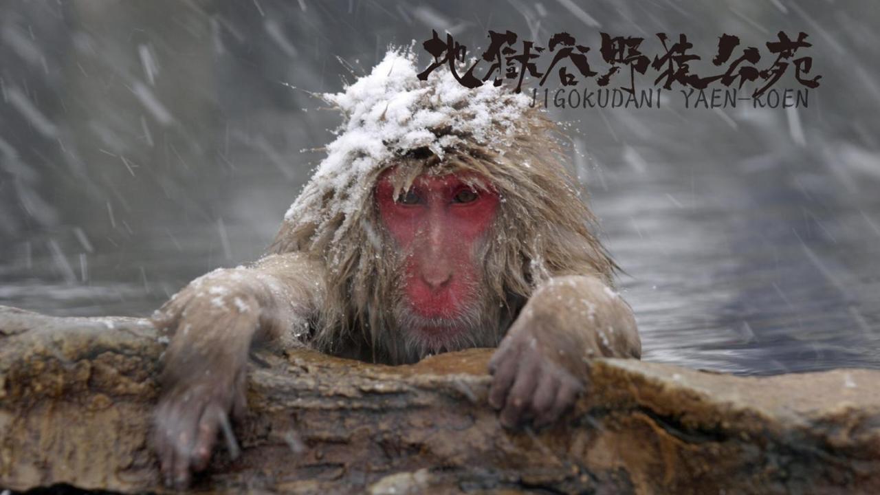 Balls Deep Inn Villas Hakuba Bagian luar foto